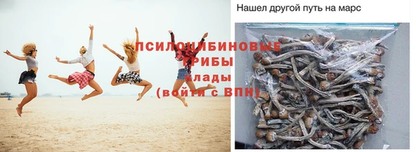 твердый Алексеевка