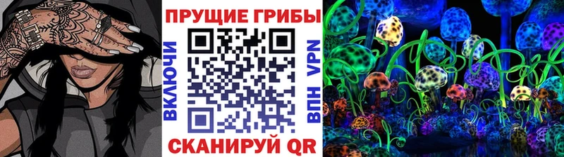 Псилоцибиновые грибы Psilocybe  Кострома 